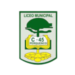 Liceo Municipal C-45 de Perquenco
